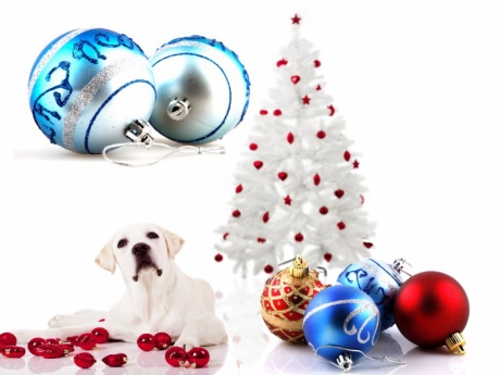 Custom designed Christmas balls and decorations