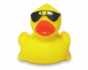 Duck with Sunnies