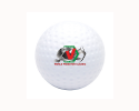 AST – 030 Stress Golf balls