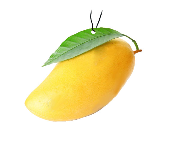 AAA – 020 Custom Fresheners Mango