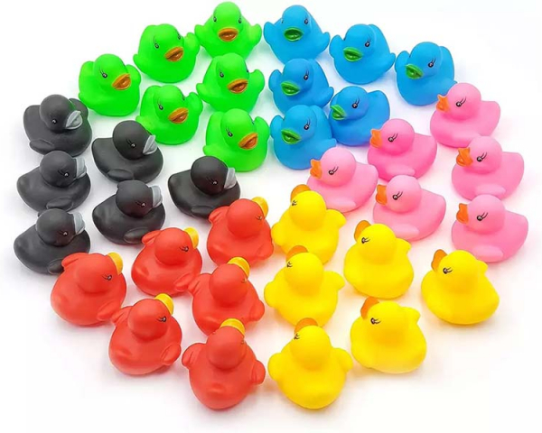 TY77-AUS Custom Colourful Ducks