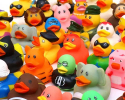 TYEWTT-Custom Rubber Ducks and Stylish Zoo Animals